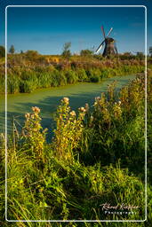 Windmills, Kinderdijk (96)