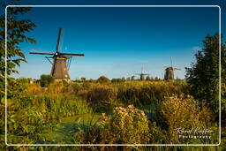 Kinderdijk (97) Moinhos de vento