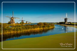 Kinderdijk (99) Moulins à vent