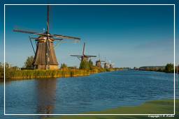 Kinderdijk (100) Windmills