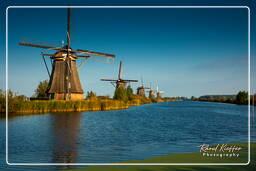 Kinderdijk (100) Windmills