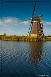 Kinderdijk (102) Windmills