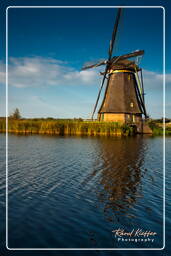 Kinderdijk (102) Moulins à vent