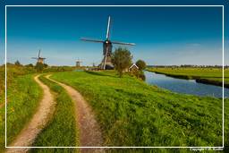 Kinderdijk (103) Windmills