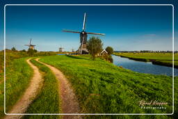 Kinderdijk (103) Molinos de viento