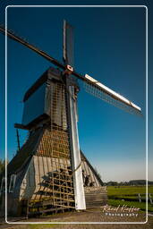 Kinderdijk (105) Moinhos de vento