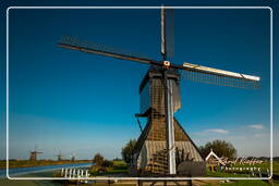 Kinderdijk (106) Molinos de viento