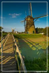 Kinderdijk (107) Windmills