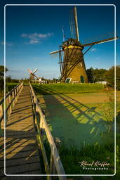 Kinderdijk (107) Moinhos de vento