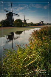 Kinderdijk (108) Moinhos de vento