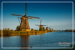 Kinderdijk (111) Molinos de viento