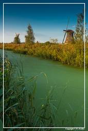 Kinderdijk (113) Windmills