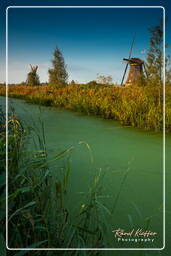 Kinderdijk (113) Windmühlen