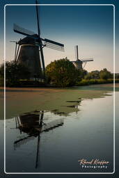 Kinderdijk (114) Molinos de viento