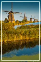 Kinderdijk (117) Windmills