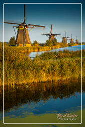 Kinderdijk (117) Windmühlen