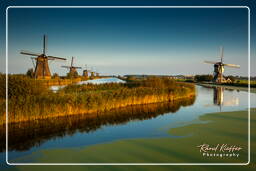 Windmills, Kinderdijk (124)