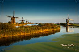 Kinderdijk (124) Moulins à vent