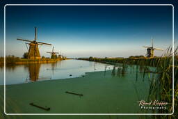 Kinderdijk (125) Moinhos de vento