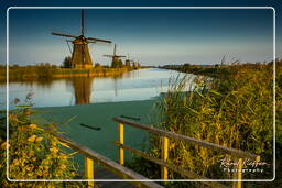 Kinderdijk (126) Moinhos de vento