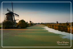 Kinderdijk (128) Moulins à vent