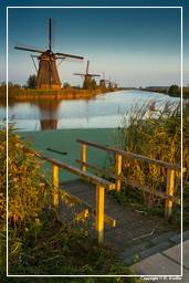 Kinderdijk (131) Windmills