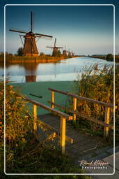 Kinderdijk (131) Moulins à vent