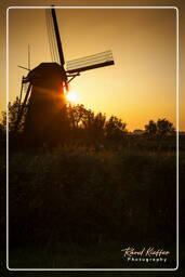 Kinderdijk (132) Mulini a vento