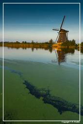 Kinderdijk (133) Windmills