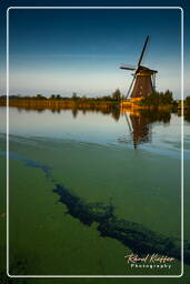 Kinderdijk (133) Molinos de viento