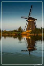 Kinderdijk (134) Windmills