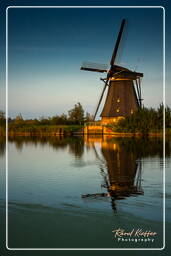 Kinderdijk (134) Moulins à vent