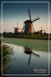 Kinderdijk (135) Moulins à vent