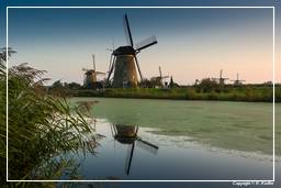 Kinderdijk (137) Windmills