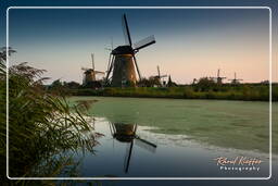 Kinderdijk (137) Moulins à vent