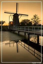 Kinderdijk (138) Windmills