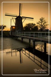 Kinderdijk (138) Moinhos de vento