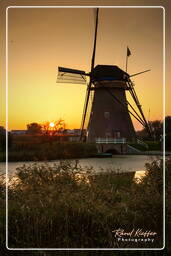 Kinderdijk (139) Moulins à vent