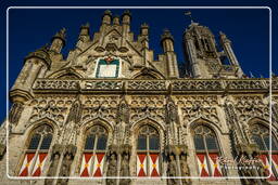 16th centrury Town Hall, Middelburg (13)
