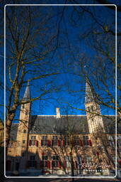 Abbey, Middelburg (22)