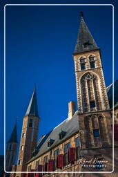 Abbey, Middelburg (28)