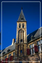 Abbey, Middelburg (29)