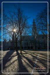 Middelburg (38) Abbey