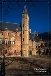 Abbey, Middelburg (41)