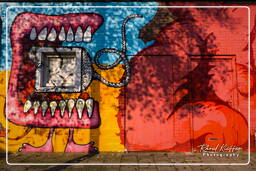 Street art, Rotterdam (9)