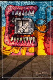 Street art, Rotterdam (11)