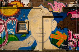 Street art, Rotterdam (29)