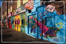 Street art, Rotterdam (36)