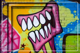 Street art, Rotterdam (41)