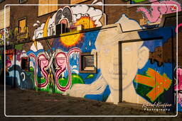 Street art, Rotterdam (43)